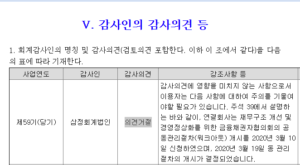 Auditor's opinion, etc.2 관리종목 지정