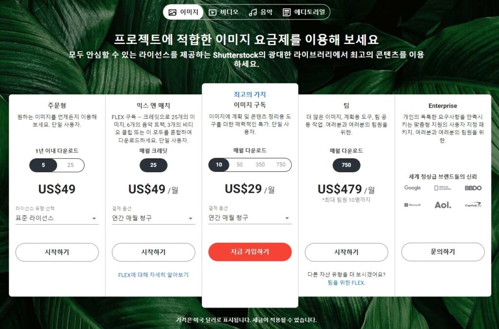 이미지-표준 라이선스 확장 라이선스 비교 4 셔터스톡 요금제(표준 라이선스)