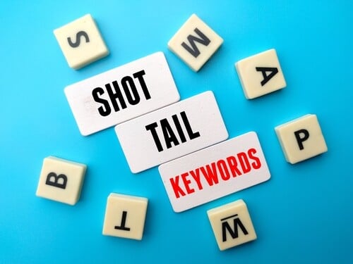 키워드란? 키워드 분석 사이트 TOP7 3 숏테일 키워드(Shot Tail Keywords)