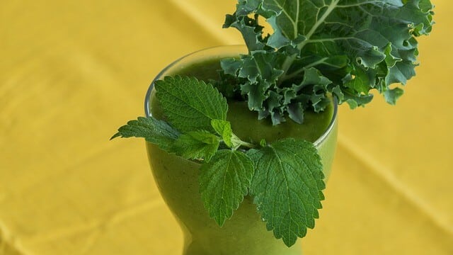 샐러드 채소 종류 14가지 6 케일 (kale)