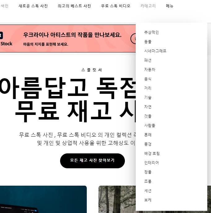 저작권 없는 무료 이미지 다운로드 사이트 추천 LIST 35+@-라이선스 확인 72 스플릿샤이어 카테고리