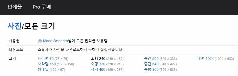 저작권 없는 무료 이미지 다운로드 사이트 추천 LIST 35+@-라이선스 확인 19 플리커 bread 검색-소유자가 사진을 다운로드 하지 못하게 설정