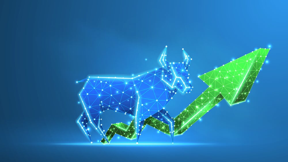 2024년 삼성중공업 주가 전망 1 경제용어 불마켓(Bull Market)