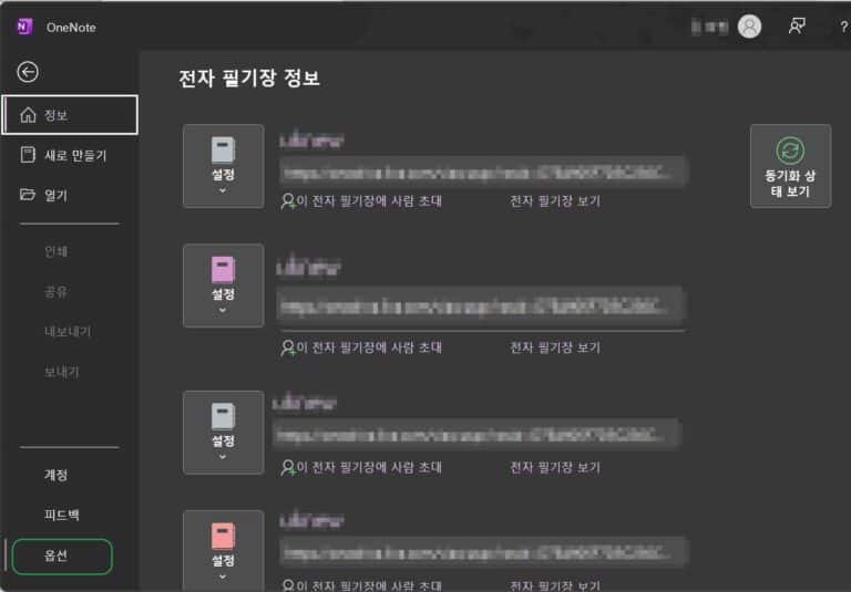 원노트 다운로드 및 시작하기&동기화 설정 12 OneNote 옵션 설정2
