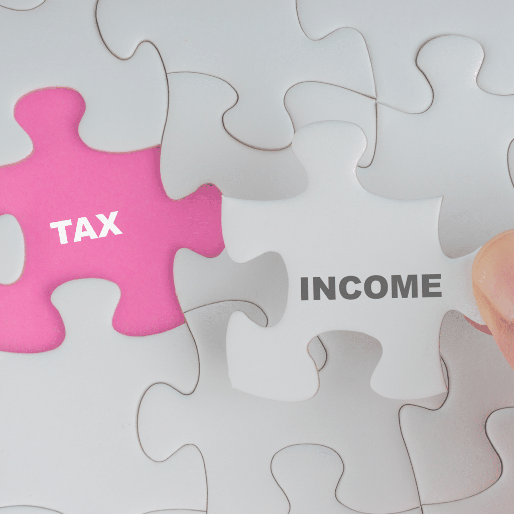 세무기장이란? 기장대리 및 신고대리 1 세무 소득(Tax Income) 세무기장이란?