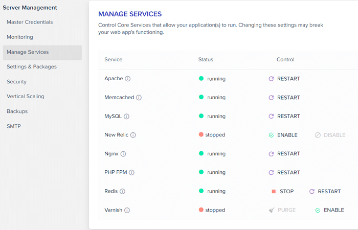 Cloudways 호스팅 Server 인터페이스 Manage Services