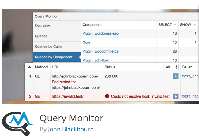 Query Monitor 플러그인