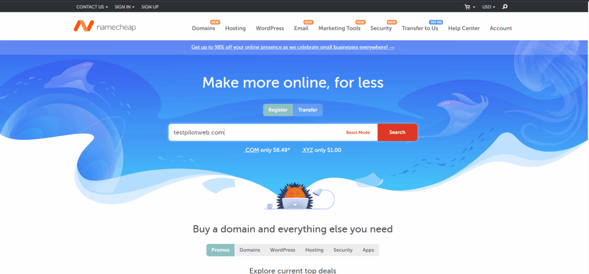 네임칩 도메인 구매 [testpilotweb.com]