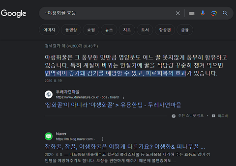 구글링 개요 | 효율적인 구글 검색 방법 10가지 3 구글 검색 방법-비슷한 단어 물결~ 사용하기