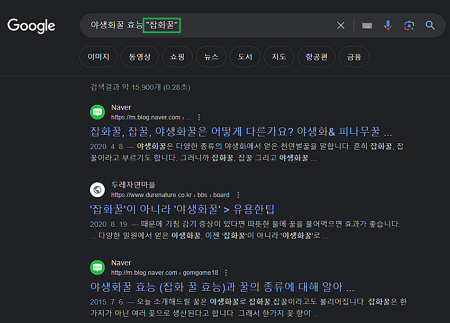 구글링 개요 | 효율적인 구글 검색 방법 10가지 1 구글링 검색-쌍따옴표 활용 방법