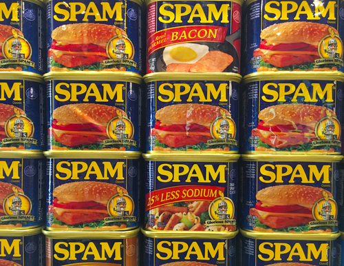 스팸(Spam)