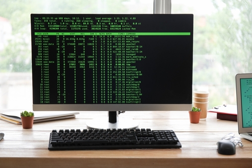 리눅스 wget 명령어 2 명령줄 인터페이스(CLI-Command-Line Interface)