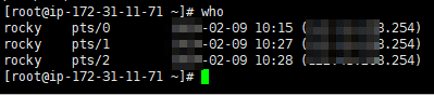 리눅스 who, w 명령어 & user 명령어 1 리눅스 who 명령어