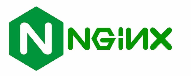 Node.js 설치: 브라우저 없이 서버에서 버튼 작동 체크 7 Nginx 로고