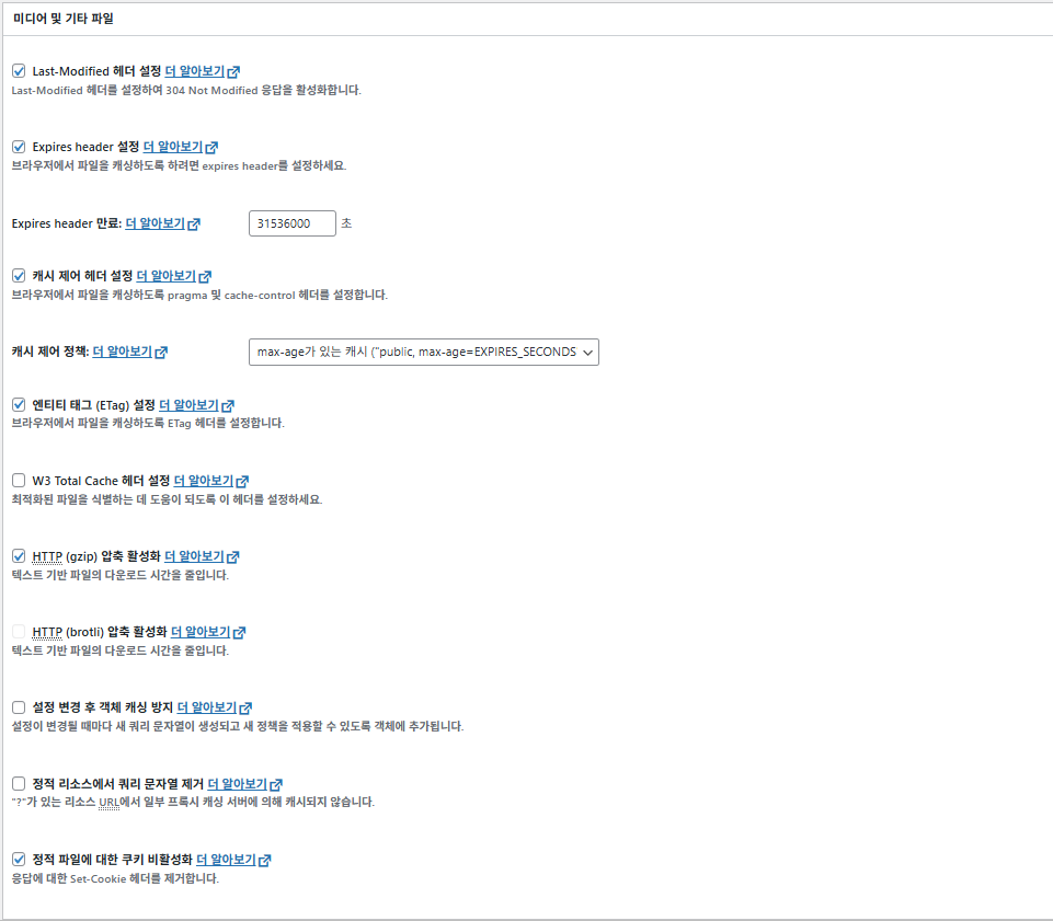 W3TC 브라우저 캐시_고급 설정_미디어 및 기타 파일
