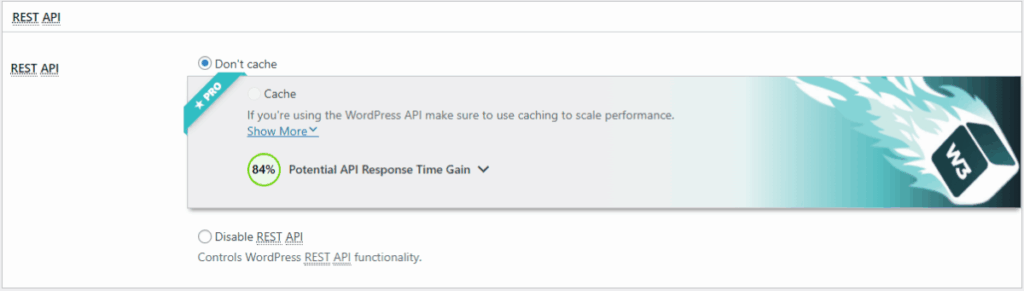 W3TC 페이지 캐시_고급-Rest API[영어]