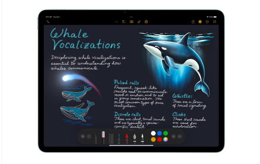 네이버 쇼핑 커넥트-Apple 아이패드 에어 11 M3 WiFi 스페이스그레이_2