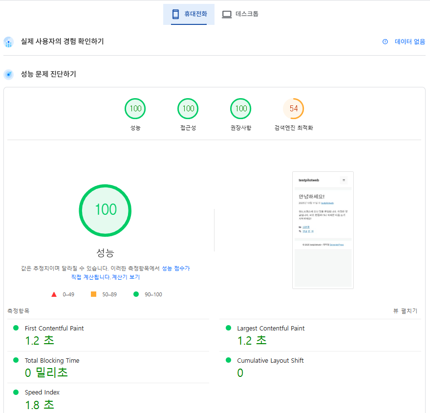 웹사이트 속도 측정 사이트 및 도구 TOP6 1 웹사이트 속도 측정-구글 페이지스피드(모바일_testpilotweb)