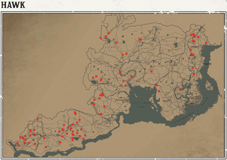 RDR2 動物の場所 39 RDR2 動物の場所マップ – タカ