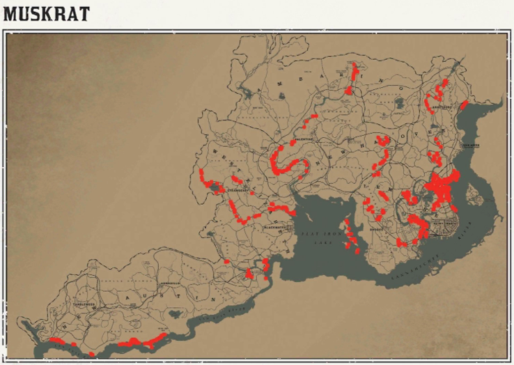 레데리2 일반 동물 위치 103 레데리2 일반 동물 위치 지도-사향쥐