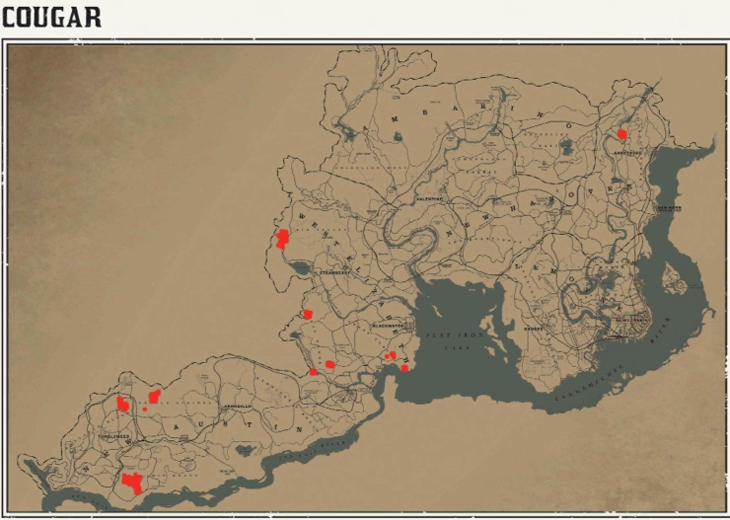 레데리2 일반 동물 위치 80 레데리2 일반 동물 위치 지도-쿠거