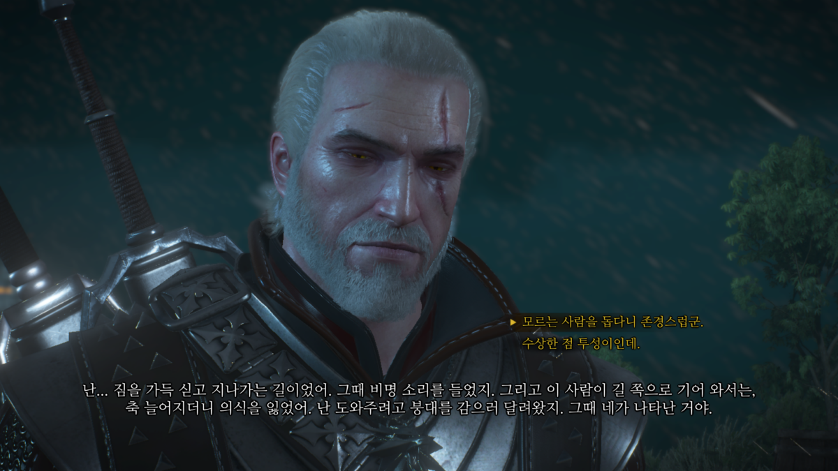 위쳐3 극한 연극: 고대 엘프 방패 3 위쳐3 극한 연극 시작 2