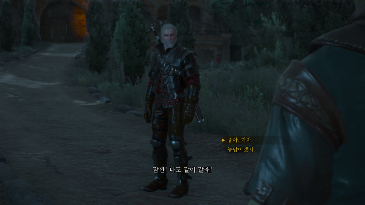 위쳐3 극한 연극: 고대 엘프 방패 6 위쳐3 극한 연극 시작 5