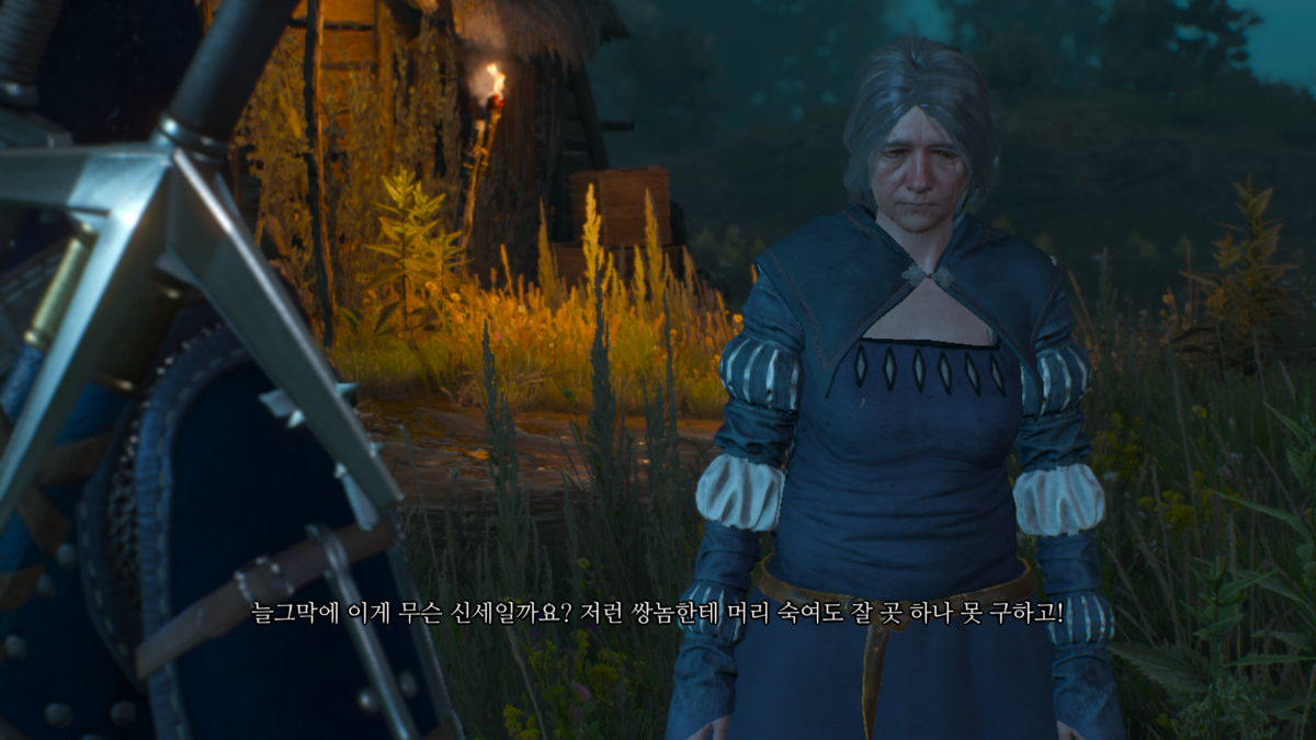 위쳐3 리어던 가문의 몰락 & 과거의 유령들 2 위쳐3 리어던 가문의 몰락 - 돌로레스와 대화 1