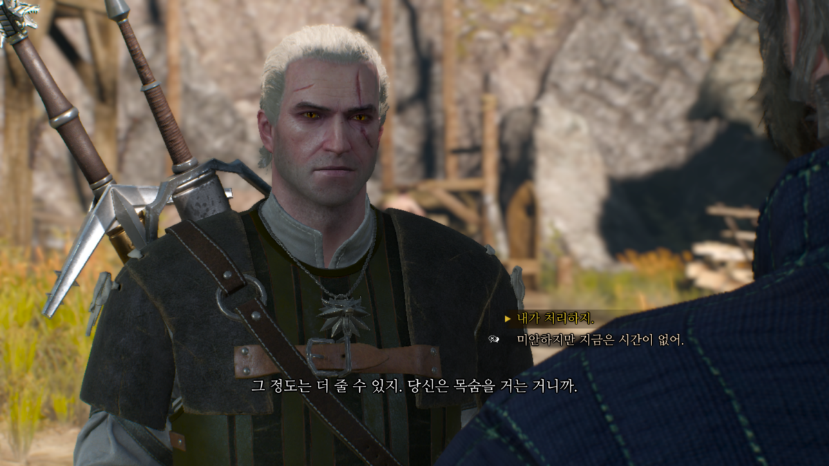위쳐3 비명자 의뢰 받기 4