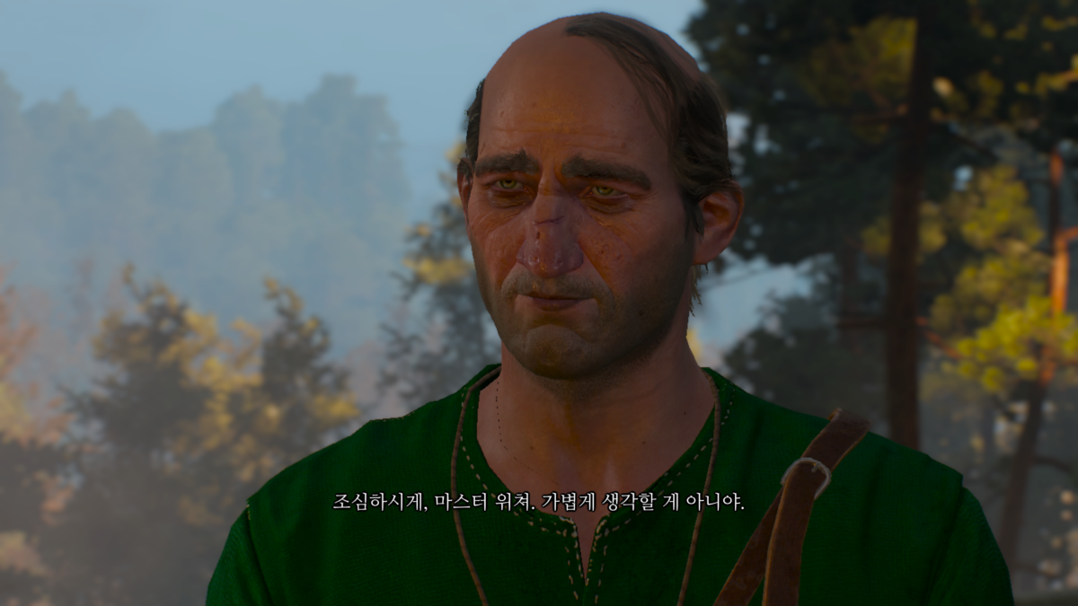 위쳐3 숲의 여인들 - 다운워렌 장로와의 대화 12