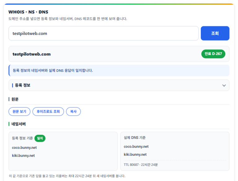 서버 인프라 193 testpilotweb.com DNS 조회 3