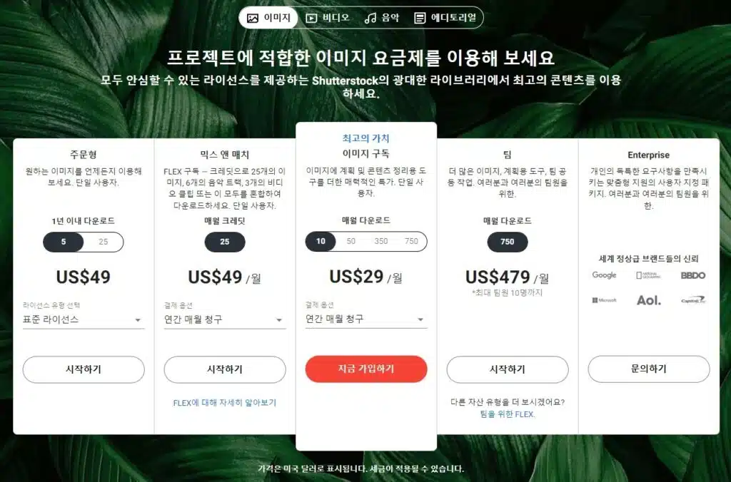 이미지-표준 라이선스 확장 라이선스 비교 4 셔터스톡 요금제(표준 라이선스)