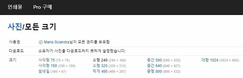 플리커 bread 검색-소유자가 사진을 다운로드 하지 못하게 설정