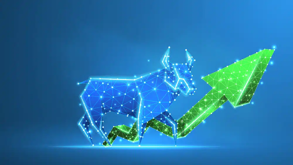 2024년 삼성중공업 주가 전망 1 경제용어 불마켓(Bull Market)