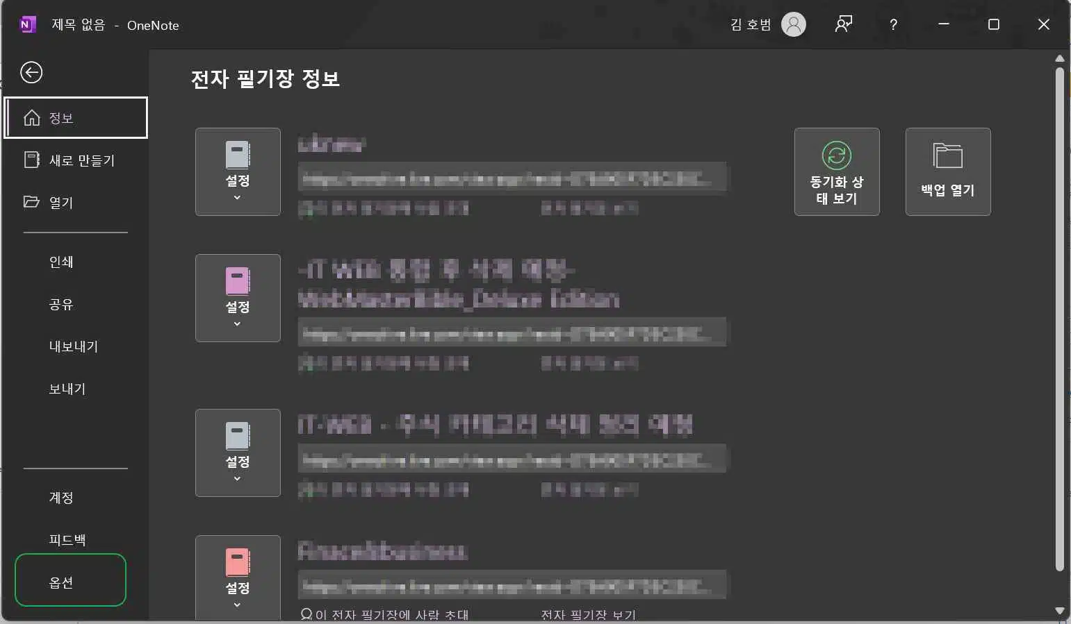 원노트 다크모드 설정과 배경 설정하기-2016&오피스 Ver 2 원노트 옵션설정-파일 옵션탭2