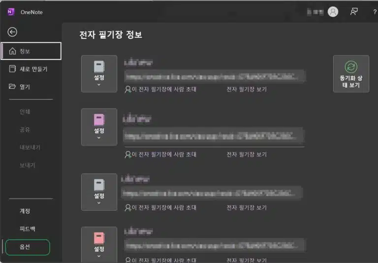 원노트 다운로드 및 시작하기&동기화 설정 12 OneNote 옵션 설정2