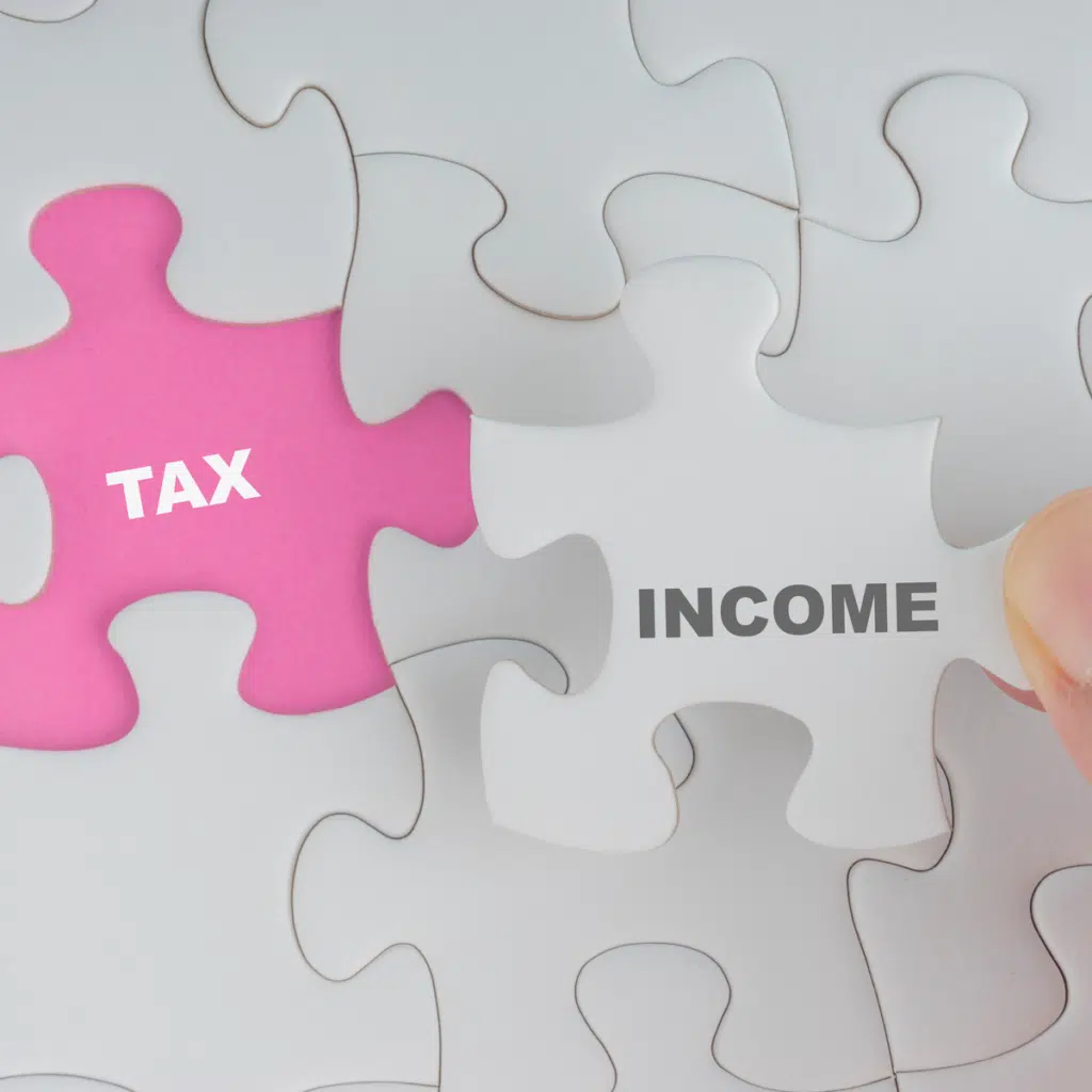 세무기장이란? 기장대리 및 신고대리 1 세무 소득(Tax Income) 세무기장이란?