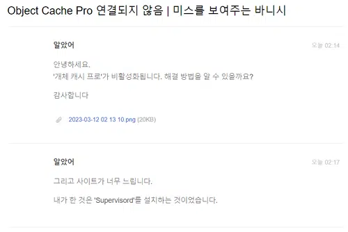 Cloudways 호스팅 사용 후기(2023) 3 Cloudways 호스팅 티켓 문의_1