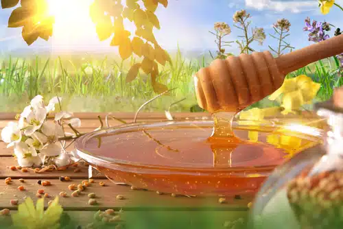야생화꿀이 꽃과 벌의 꽃가루로 나무 탁자 위의 유리 접시에 떨어지는 것. 