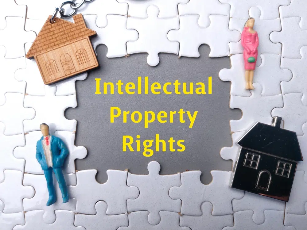 저작권 공정 사용이란? 구글의 공정 사용 4가지 권장 사항 3 지식재산권(Intelligent Property Right-Right가 빠지면 지식 재산)