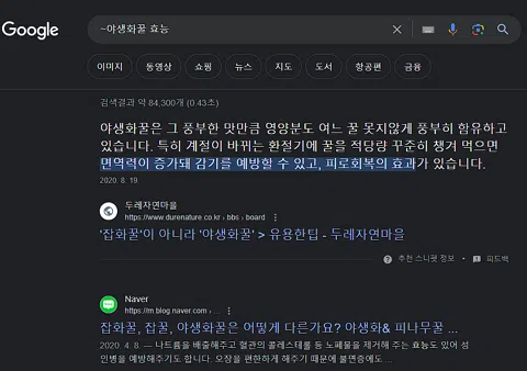 구글링 개요 | 효율적인 구글 검색 방법 10가지 3 구글 검색 방법-비슷한 단어 물결~ 사용하기