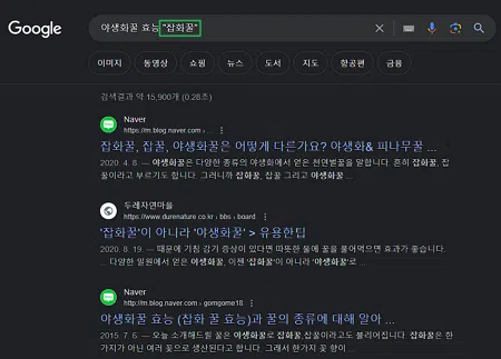 구글링 개요 | 효율적인 구글 검색 방법 10가지 1 구글링 검색-쌍따옴표 활용 방법