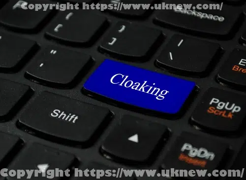 SEO 클로킹이란? 피해야 할 3가지 사항 2 SEO cloaking(SEO 클로킹)