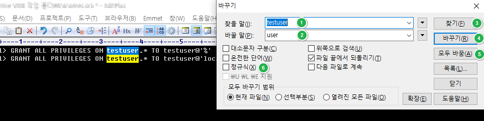 EditPlus 문자열 바꾸기 1 EditPlus 문자열 바꾸기