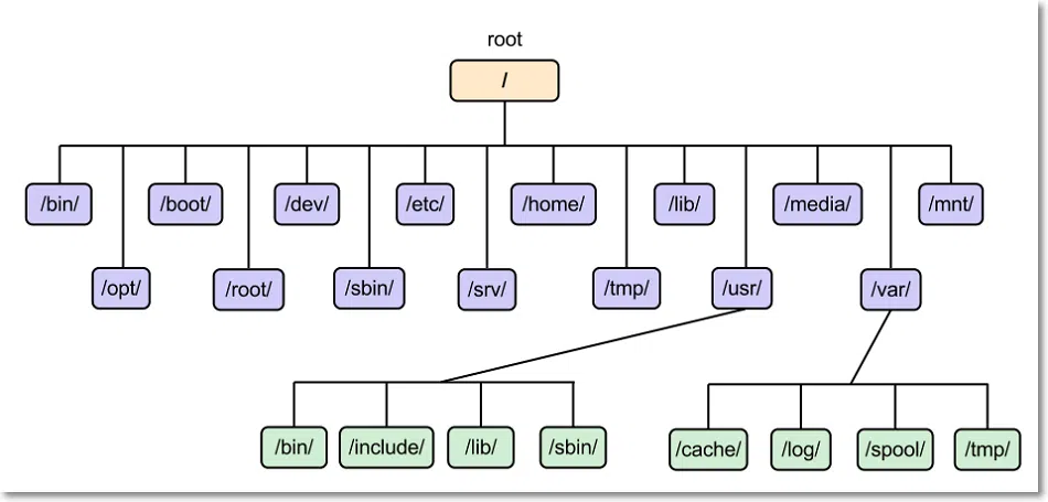 리눅스 tmp 디렉토리 콘텐츠: 리눅스 디렉토리 구조