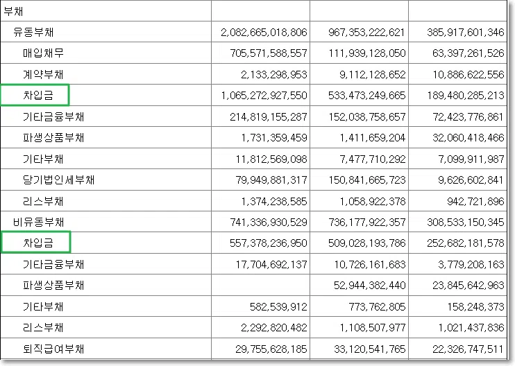 유동부채-차입금(단기차입금 장기차입금)