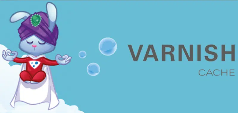 Varnish Cache란 무엇인가? | Varnish 설치 및 기본 설정하기 1 Varnish Cache 로고