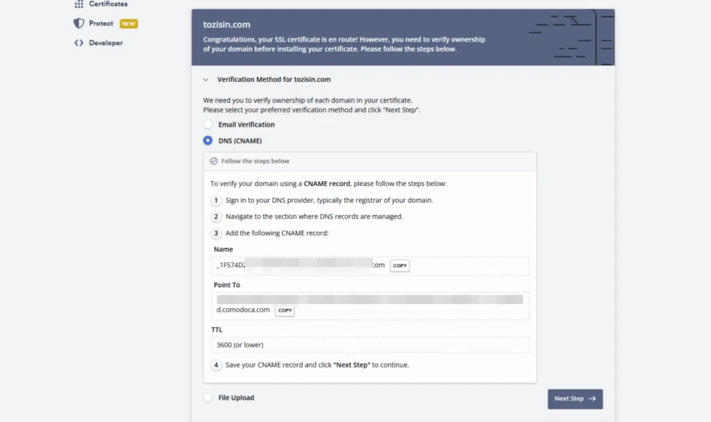 Nginx SSL 설치-Free 30일 신청 4_DEV DNS 인증