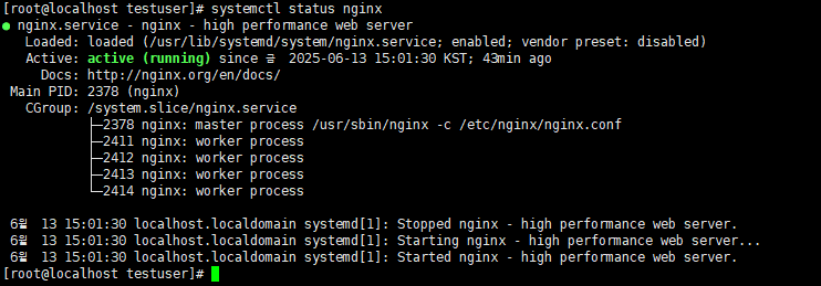 nginx 상태 확인