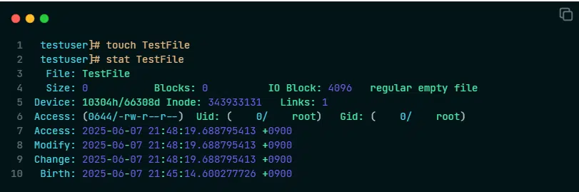 touch 명령어 옵션 없는 기본 사용